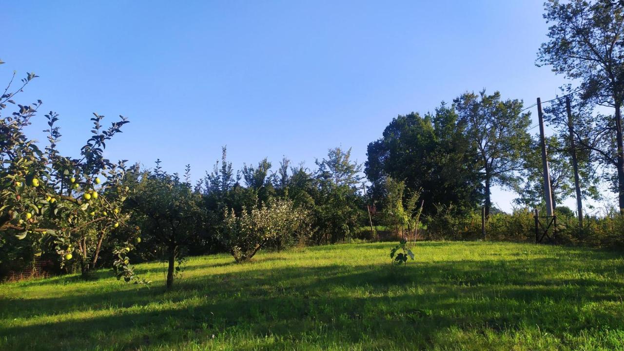 B&B Naturin - Cascina Colombaro Lauriano Exteriér fotografie