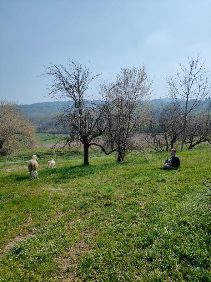 B&B Naturin - Cascina Colombaro Lauriano Exteriér fotografie